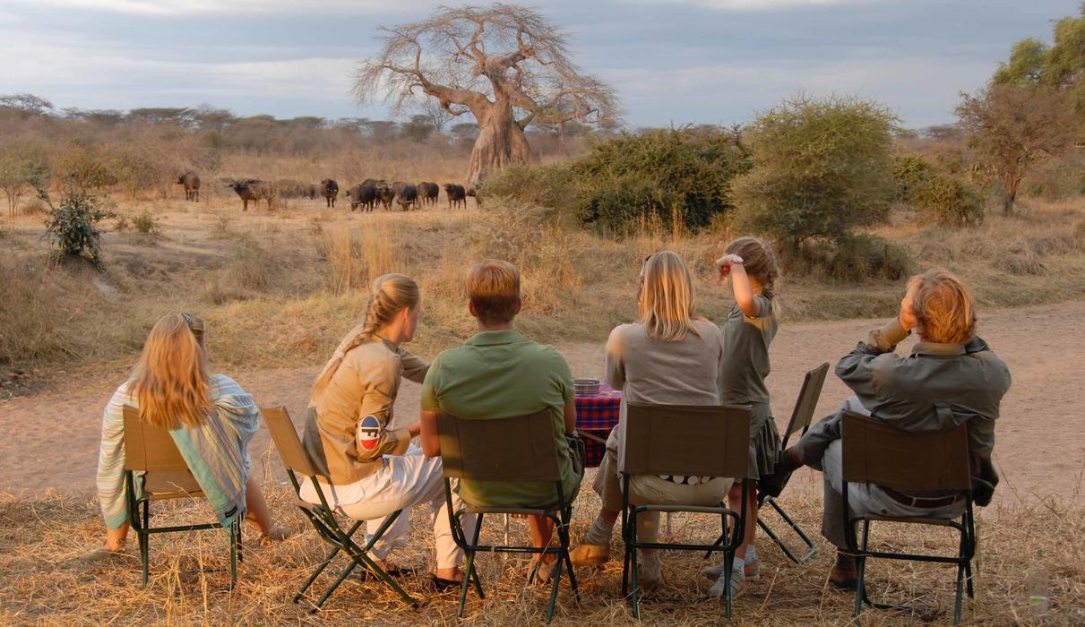 Far from the madding crowds of the northern circuit, experience a true authentic safari experience